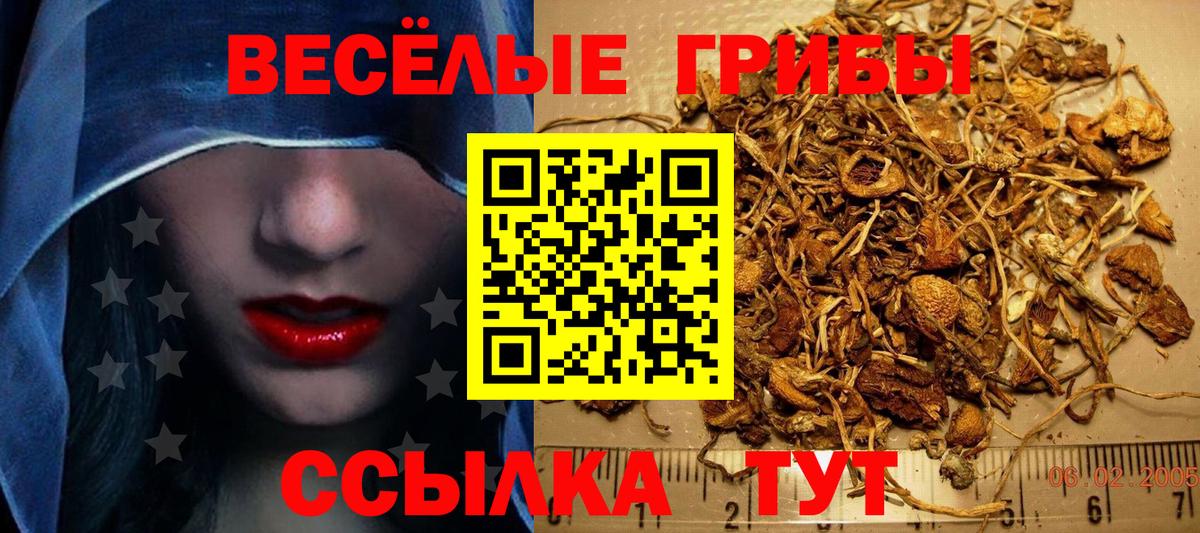 Галлюциногенные грибы Magic Shrooms  Вход с VPN  Вязники 