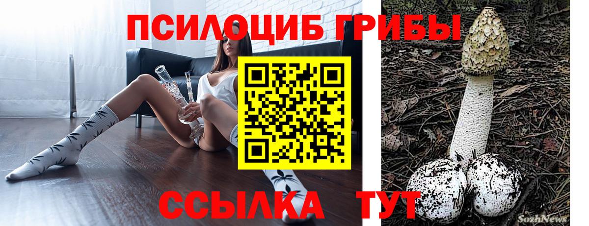 Псилоцибиновые грибы мухоморы Вязники